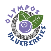 Olympic blueberries - more information